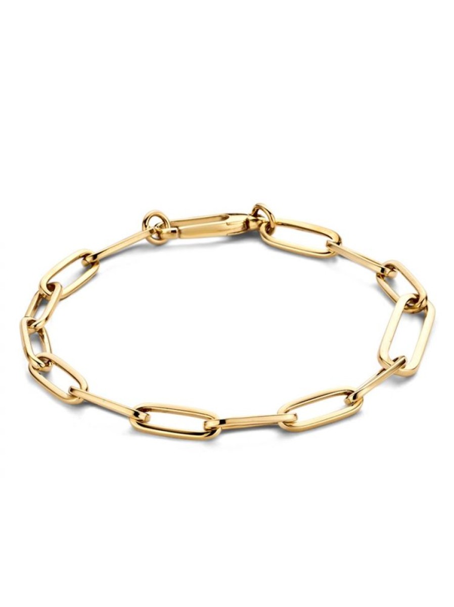 Sieraden Veerman Juwelen Collection | Geelgouden Closed-Forever Armband